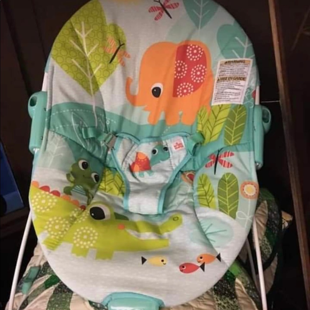 Baby bouncer